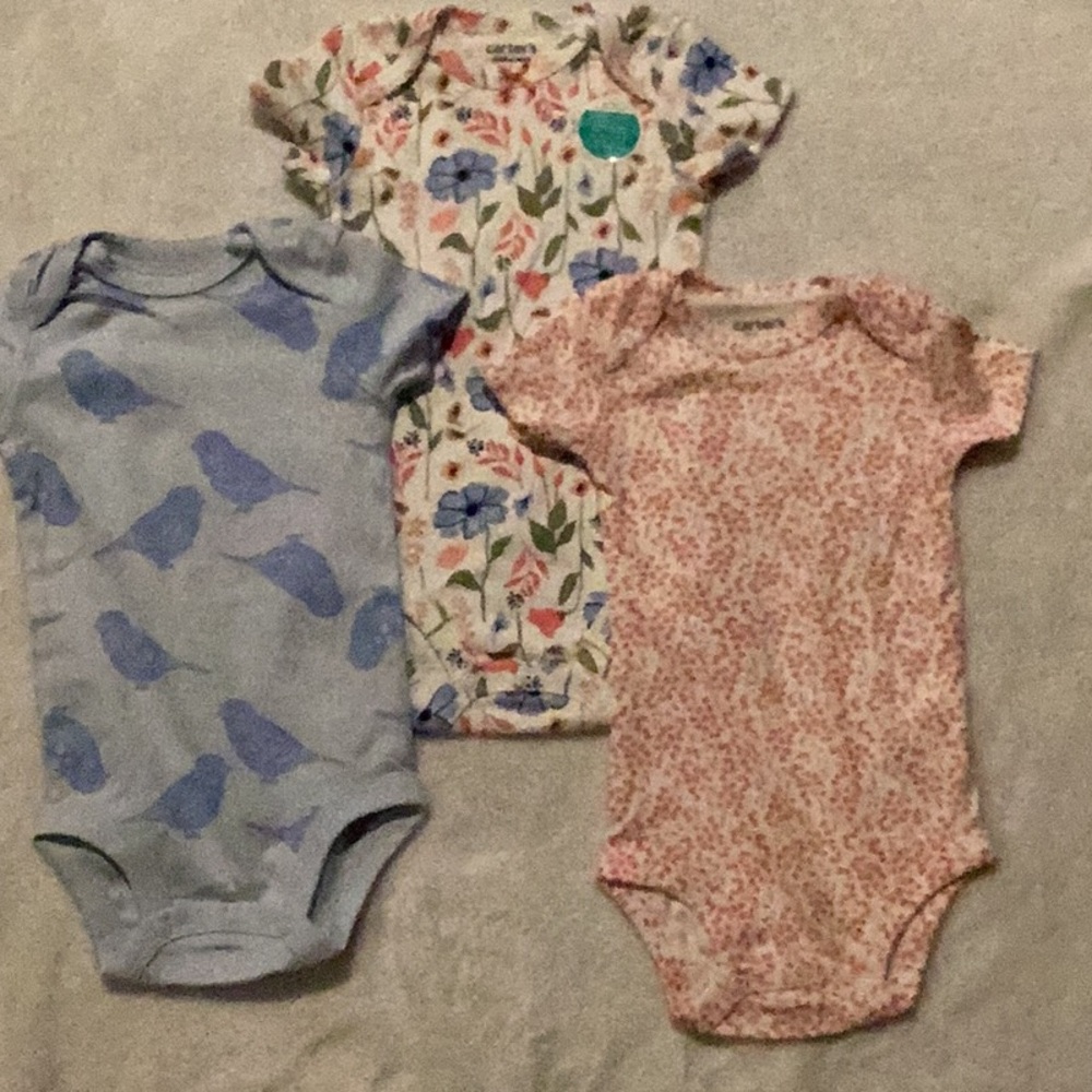 Carter's Blue and Pink Bodysuits Set for Infants